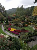Butchart Gardens