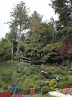 Butchart Gardens