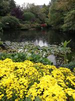 Butchart Gardens