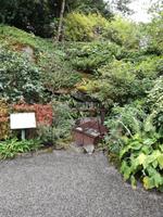 Butchart Gardens