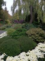 Butchart Gardens