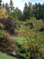 Butchart Gardens