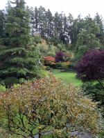 Butchart Gardens