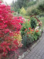Butchart Gardens