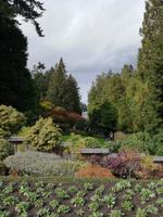 Butchart Gardens