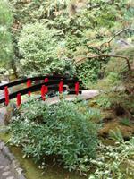 Butchart Gardens