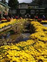 Butchart Gardens