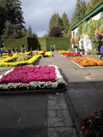 Butchart Gardens
