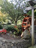 Butchart Gardens2