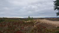 Sleeping Bear Dünen