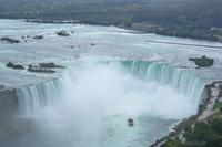 Blick vom Skylon Tower