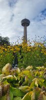 15 Skylon Tower