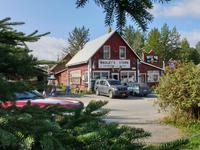 15. Tag Talkeetna - Denali-Nationalpark (5)