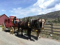 153 Hat Creek Ranch