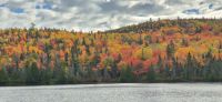 156 Indian Summer