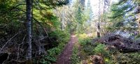 156 Wanderung am Lac Taureau