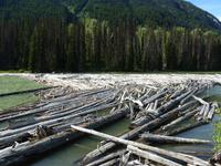 157 Duffy Lake