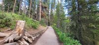 16 Wanderung Johnston Canyon
