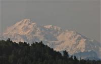 16. Tag Denali-Nationalpark