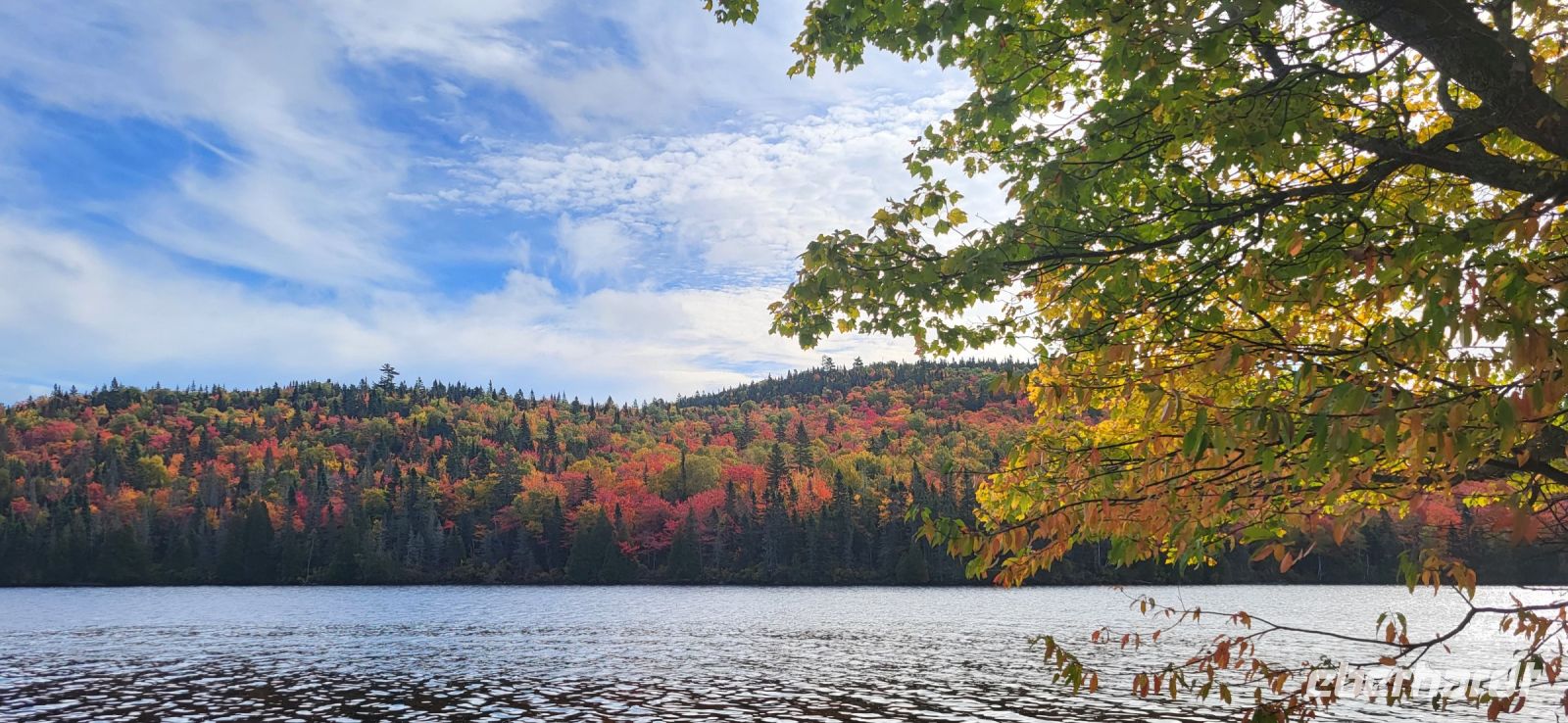 160  Indian Summer