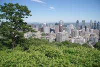 Blick vom Mont Royal in Montreal