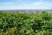 Blick auf das Olympiastadion in Montreal