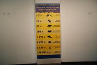 Glasboden im CN Tower