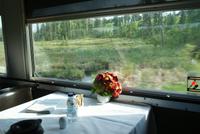 Ausblick aus dem Speisewagen