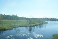 Ausblick aus dem Speisewagen