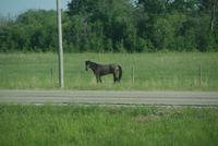 Aussicht aus der Kabine