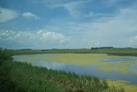 Wunderschöne Landschaft während der Zugfahrt