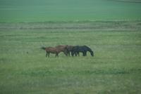 Wunderschöne Landschaft während der Zugfahrt