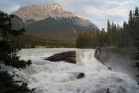 Athabasca Wasserfälle