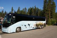 Unser Bus mit der nettesten Busfahrerin Kim