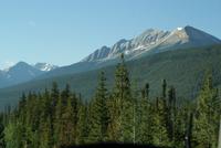 Morgenstimmung in den Rockies