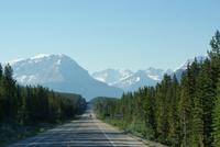 Morgenstimmung in den Rockies