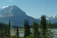 Morgenstimmung in den Rockies
