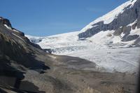 Athabasca Gletscher