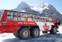Zum Athabasca Gletscher mit dem Ice Explorer