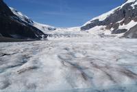 Athabasca Gletscher