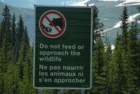 Bitte Wildtiere nicht füttern