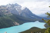Peyto Lake-ein Naturwunder
