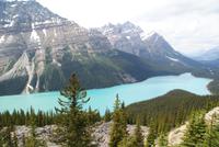 Peyto Lake-ein Naturwunder