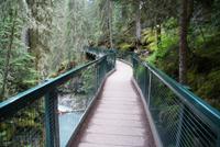 Spaziergang am Johnston Canyon