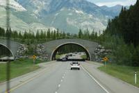 Unterwegs auf dem Transcanada Highway-reisen mit Aussicht