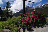 Lake Louise