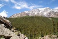 Ausblick am Moraine Lake
