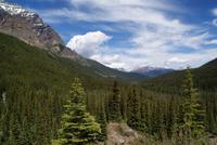 Ausblick am Moraine Lake