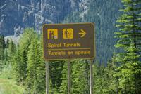 Sehen wir heute einen Zug?