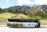 Unser wunderschöner Reisebus in den Rockies, mit viel Platz für alle Gäste